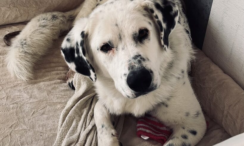 BENNY
