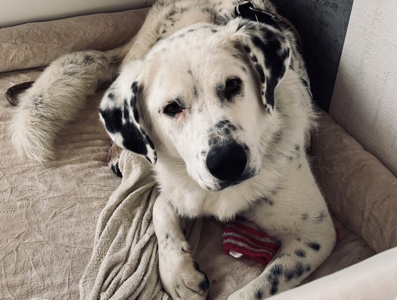 BENNY