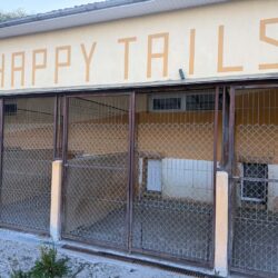Unser Ziel: Wir wollen Happy Tails kaufen