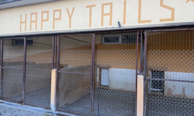Unser Ziel: Wir wollen Happy Tails kaufen Unser Ziel: Wir wollen Happy Tails kaufen