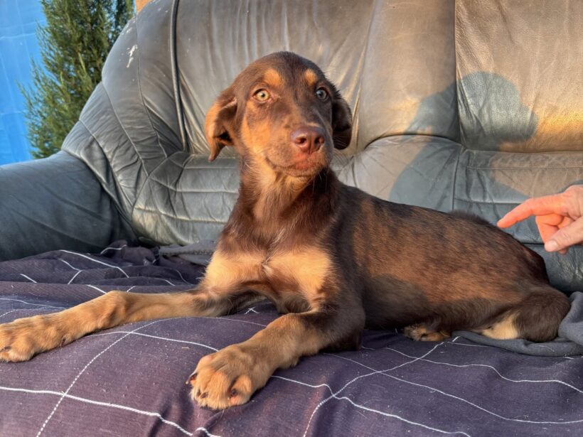LOTTI