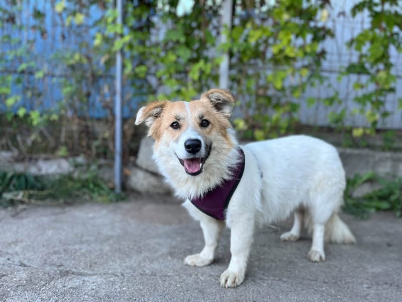 SKYE SKYE