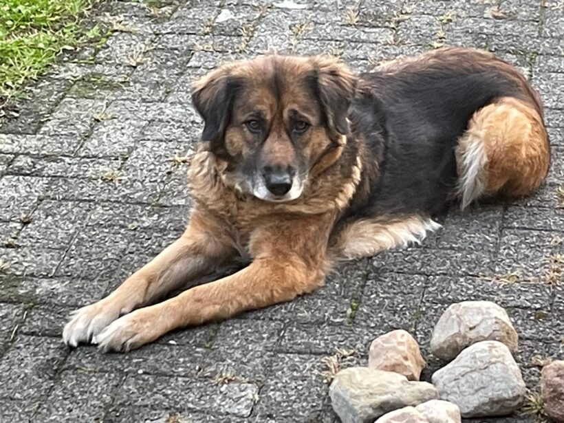 LOTTI